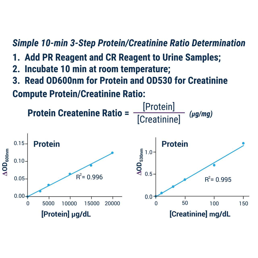 Protein Creatinine Ratio Assay Kit (BA0055) OZYME Ozyme